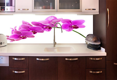 Kuchyňká fototapeta - Fialová orchidej 24784